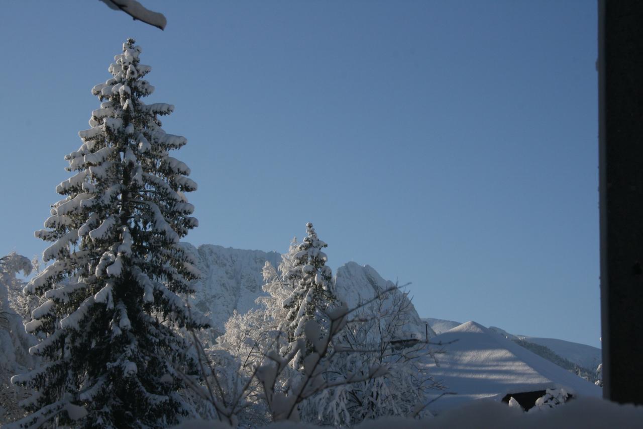 Apartamenty Paradis Zakopane Extérieur photo